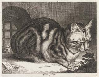 Cornelis Visscher - The Large Cat (Holl. 42)