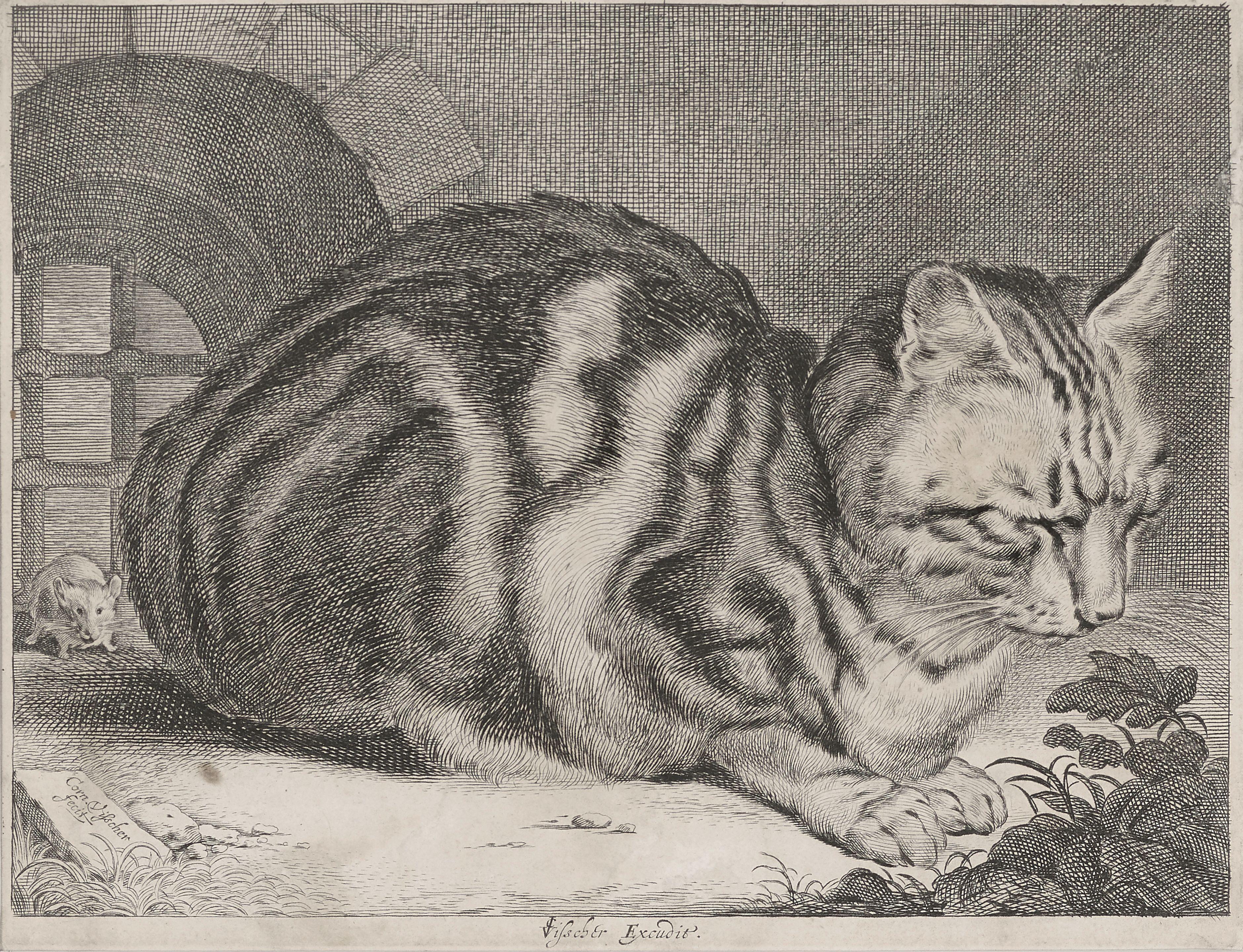 Cornelis Visscher - The Large Cat