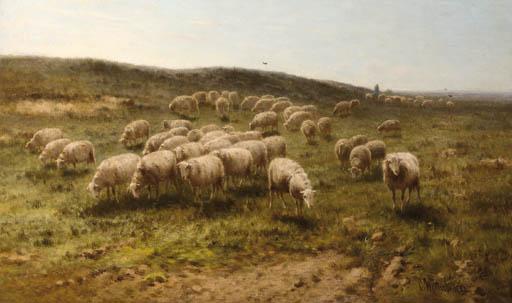 Cornelis Westerbeek - Grazing sheep
