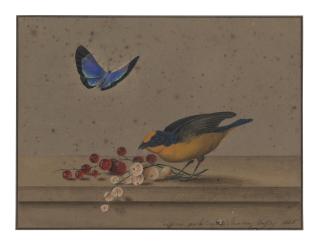 Count Feodor Tolstoy - Still life with a yellow-throated euphonia, butterfly and red and white currants