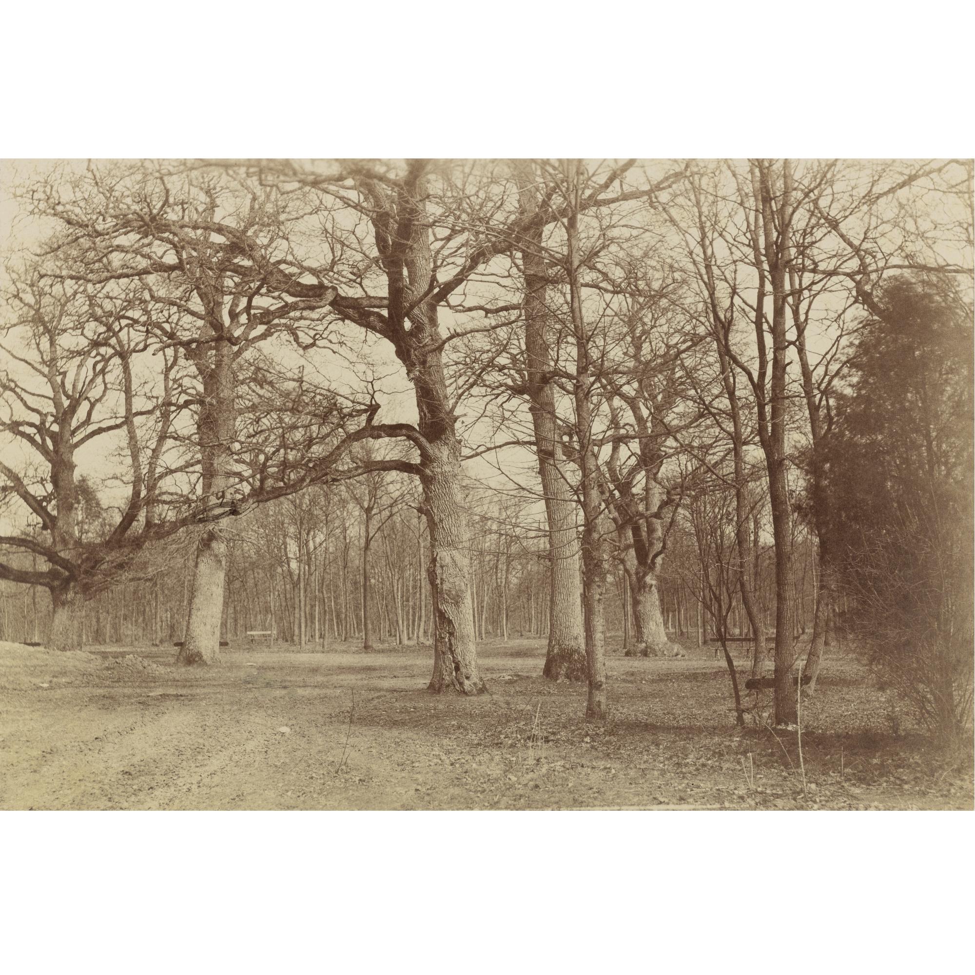 Count Olympe Aguado - Forest Scene, Bois De Boulogne