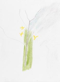 Craigie Aitchison C.B.E., R.S.A, R.A. - Study of a Tree; Flower in a Vase each