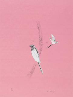 Craigie Aitchison - Magpie (Pica Pica), From Nine London Birds