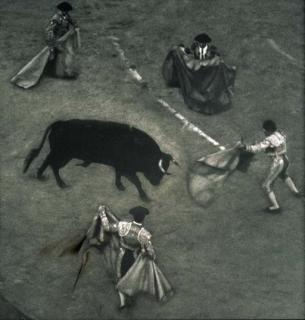 Craigie Horsfield - Placa de Braus de la Monumental... Barcelona, October 1995