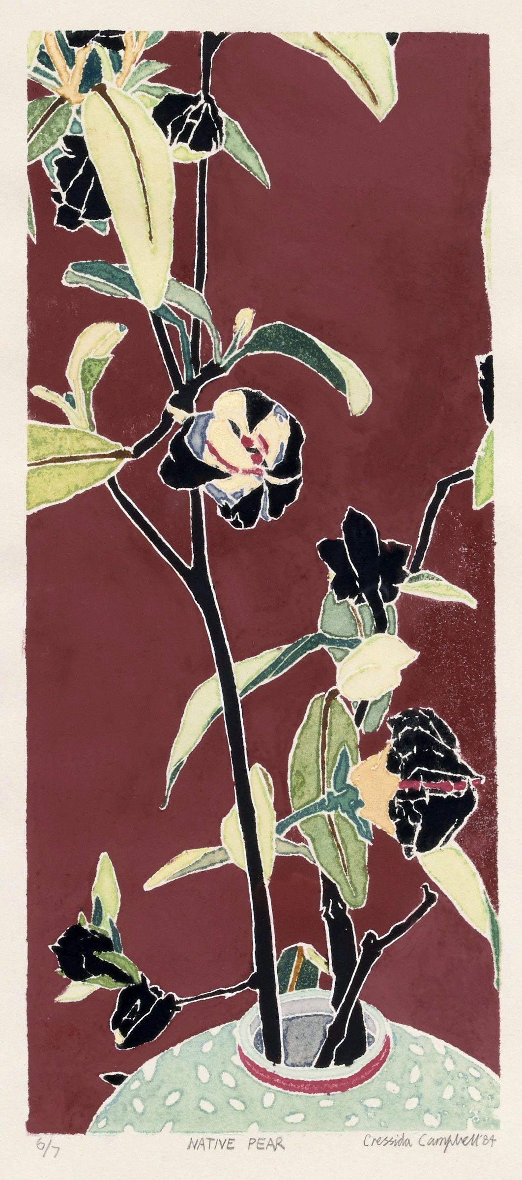 Cressida Campbell - Native Pear, 1984