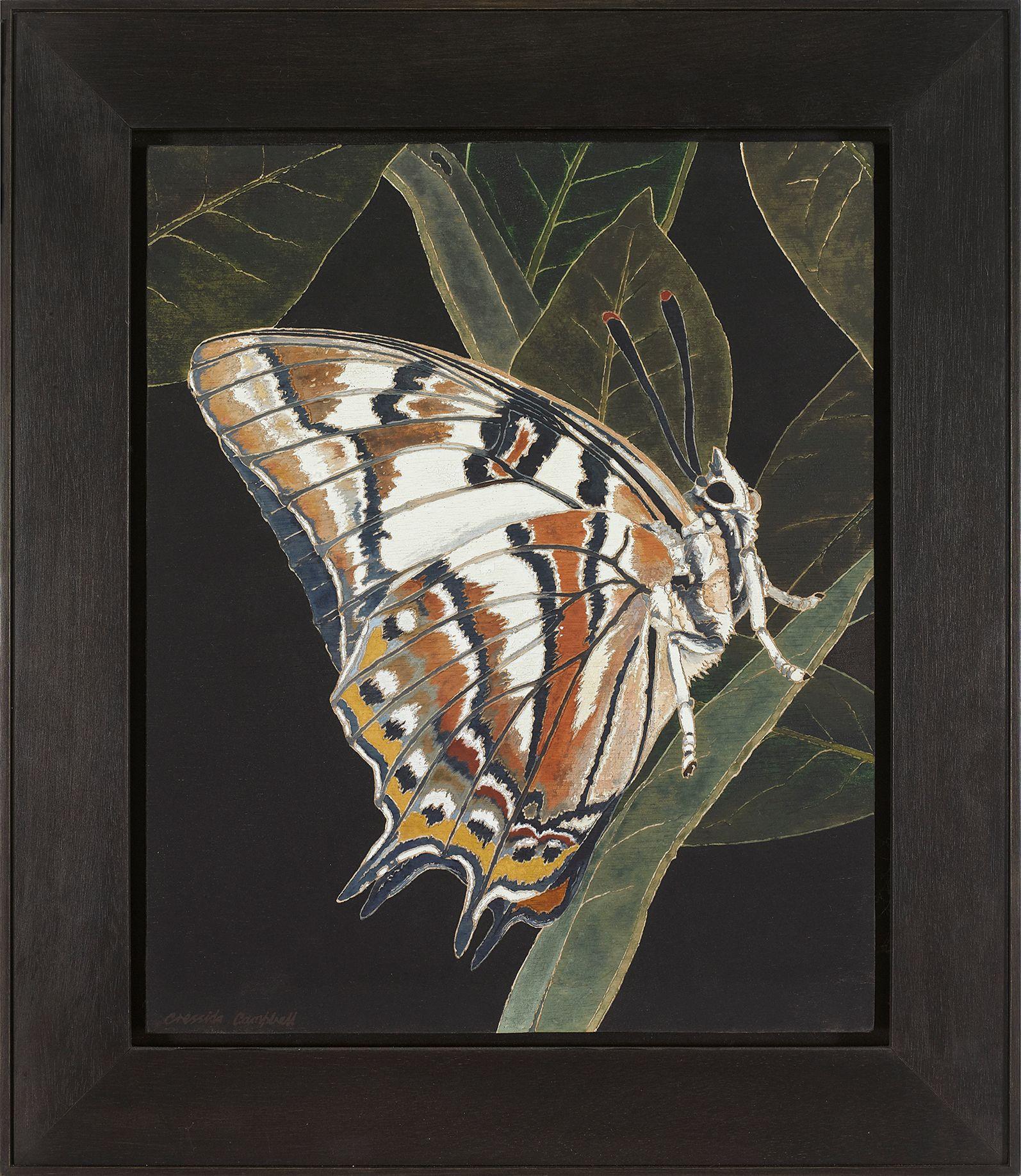 Cressida Campbell - Resting Butterfly, 2006