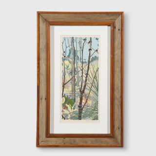 Cressida Campbell - The Bush, 1988