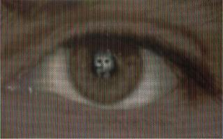 Cristiano Pintaldi - Senza titolo