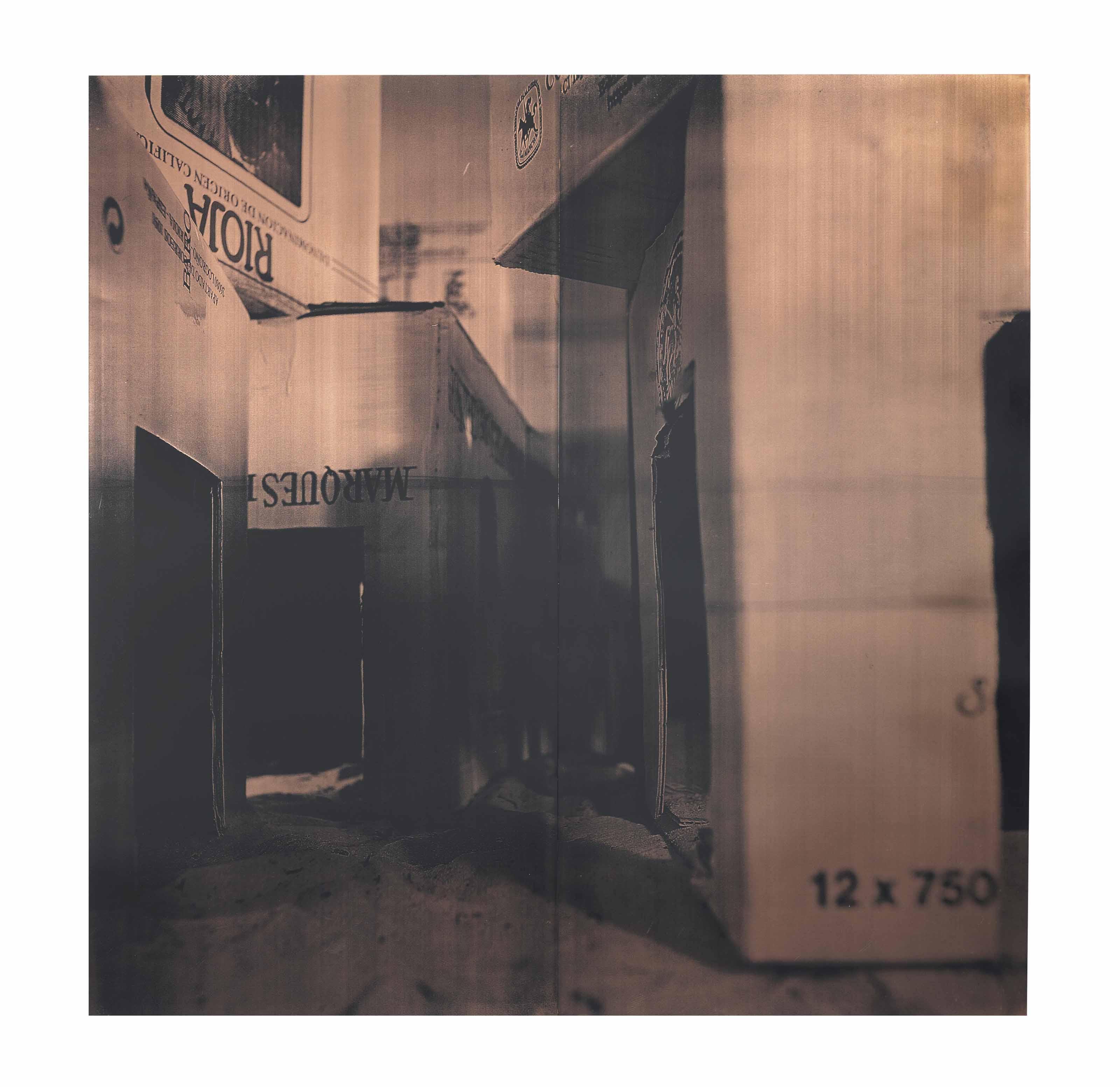 Cristina Iglesias - Díptico Vi