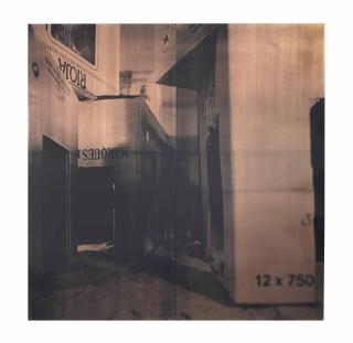 Cristina Iglesias - Díptico Vi