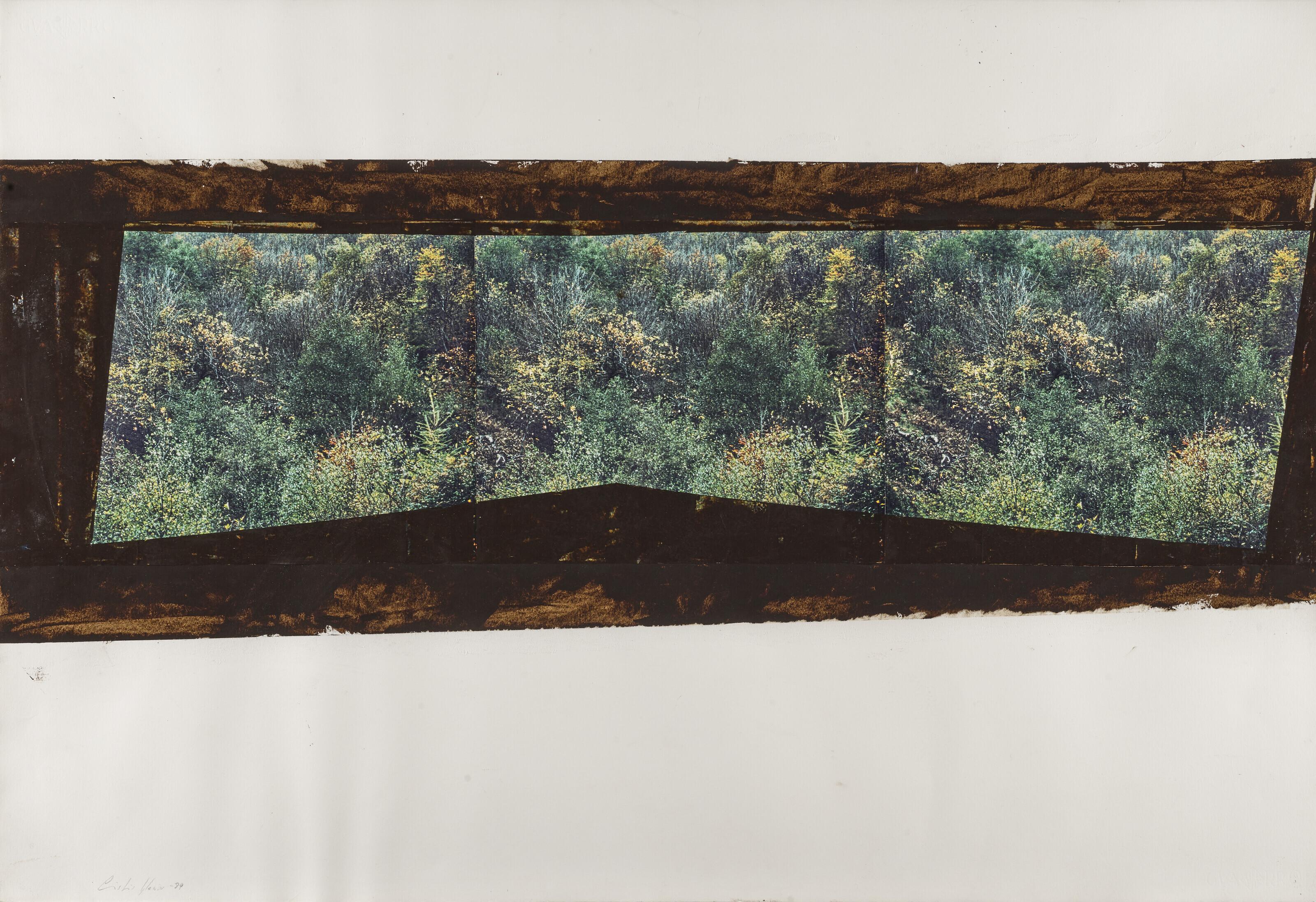 Cristina Iglesias - Sans titre