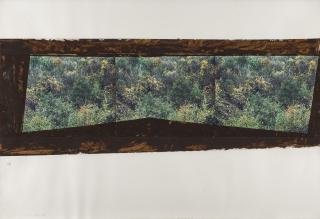 Cristina Iglesias - Sans titre