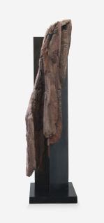 Cristina Iglesias - Sin Título