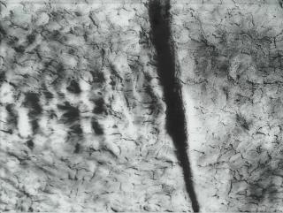 Cristina Iglesias - Tablemats