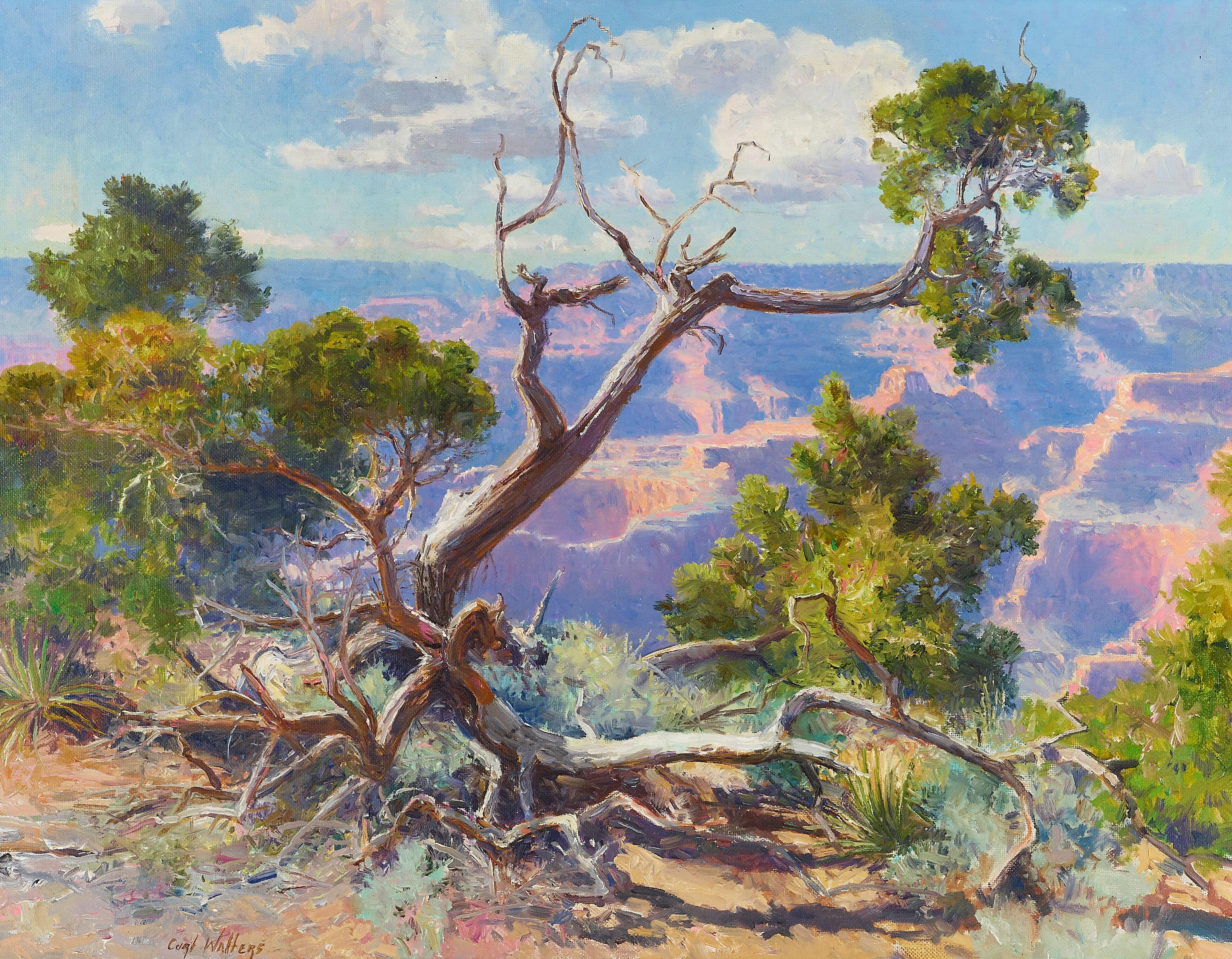 Curt Walters - Tree in a Canyon (Grand Canyon)