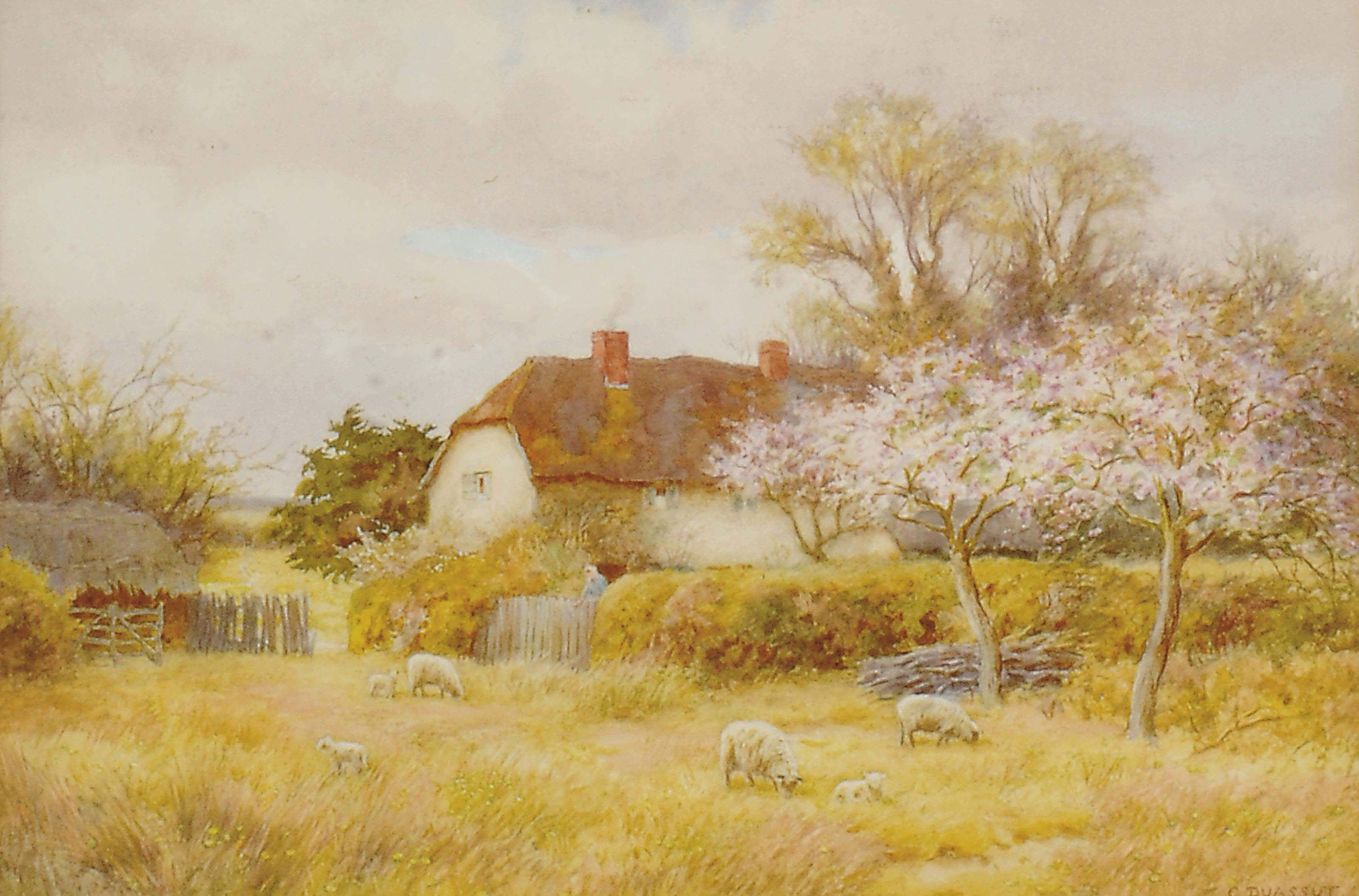 Curtius Duassut - Sheep and lambs in a meadow