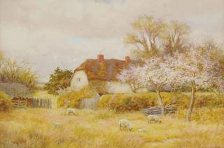 Curtius Duassut - Sheep and lambs in a meadow