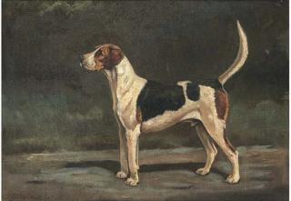 Cuthbert Bradley - Croome Ruffian, A Hound
