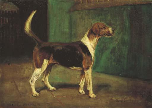 Cuthbert Bradley - The Duke of Rutland\'s Hound, Belvoir Weaver