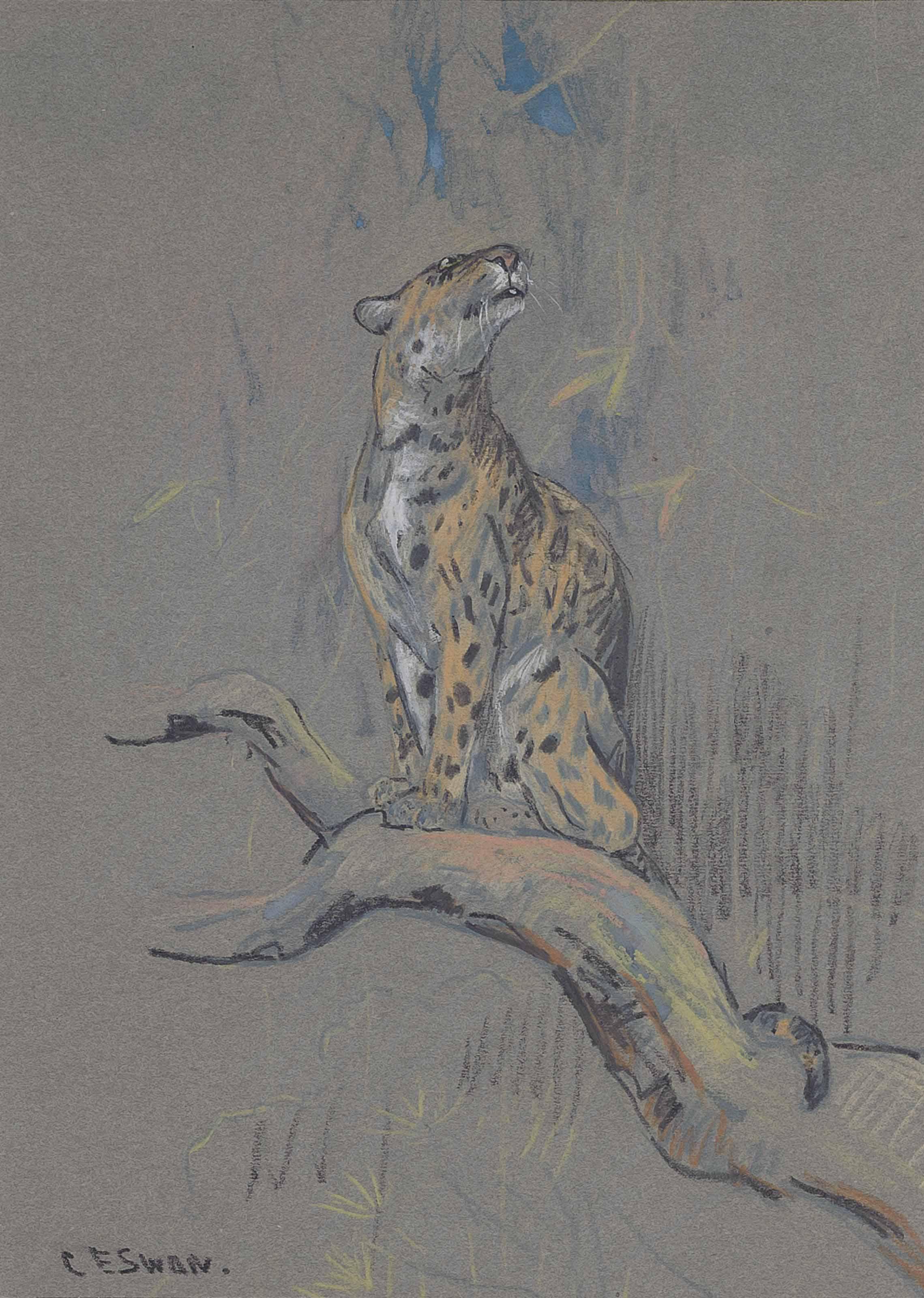 Cuthbert Edmund Swan - A leopard on a branch