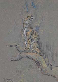 Cuthbert Edmund Swan - A leopard on a branch