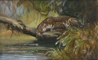 Cuthbert Edmund Swan - Jaguar observing a Caiman