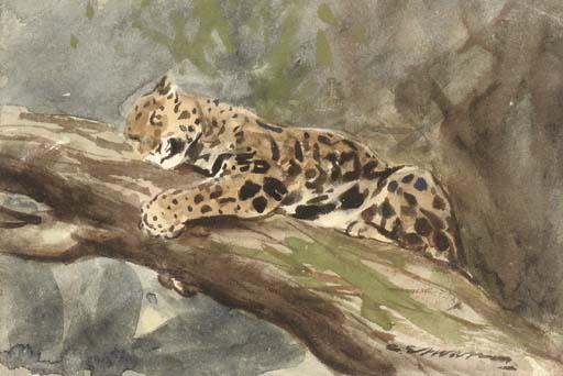 Cuthbert Edmund Swan - Out of harm\'s way