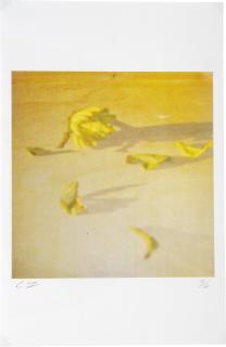 Cy Twombly - Lemon, Gaeta