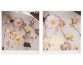 Cy Twombly - Light Flowers (Two Works)