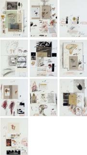 Cy Twombly - Natural History Part I Mushrooms (B. 42-51)