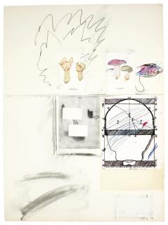 Cy Twombly - Natural History Part I Mushrooms: No. Ii (B. 43)