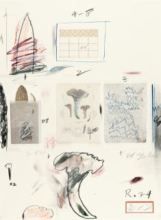 Cy Twombly - Natural History Part I: Mushrooms, No. VI