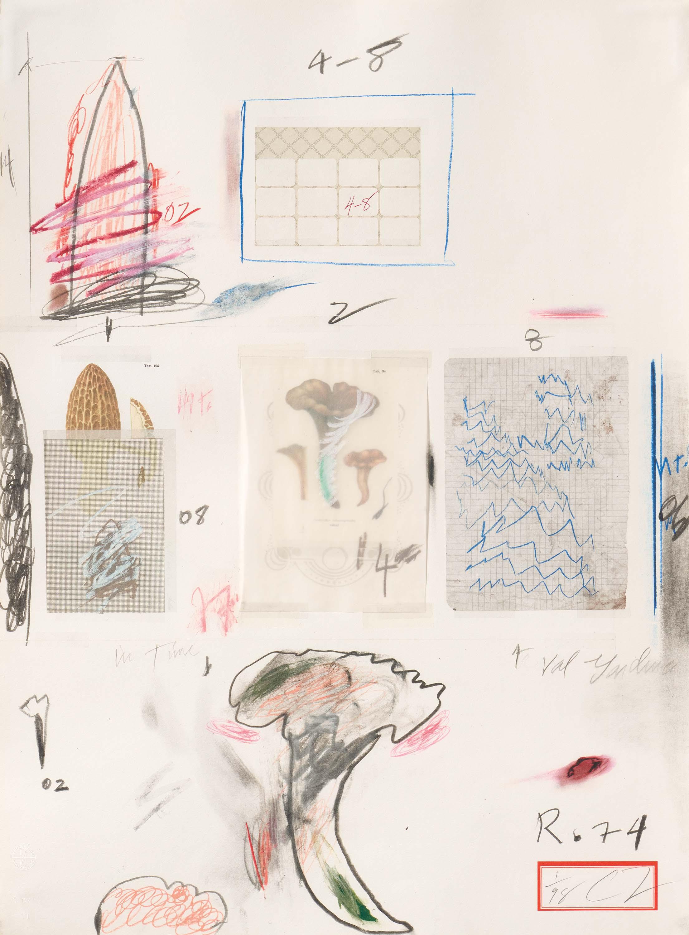Cy Twombly - Natural History Part I, Mushrooms, No. VI.