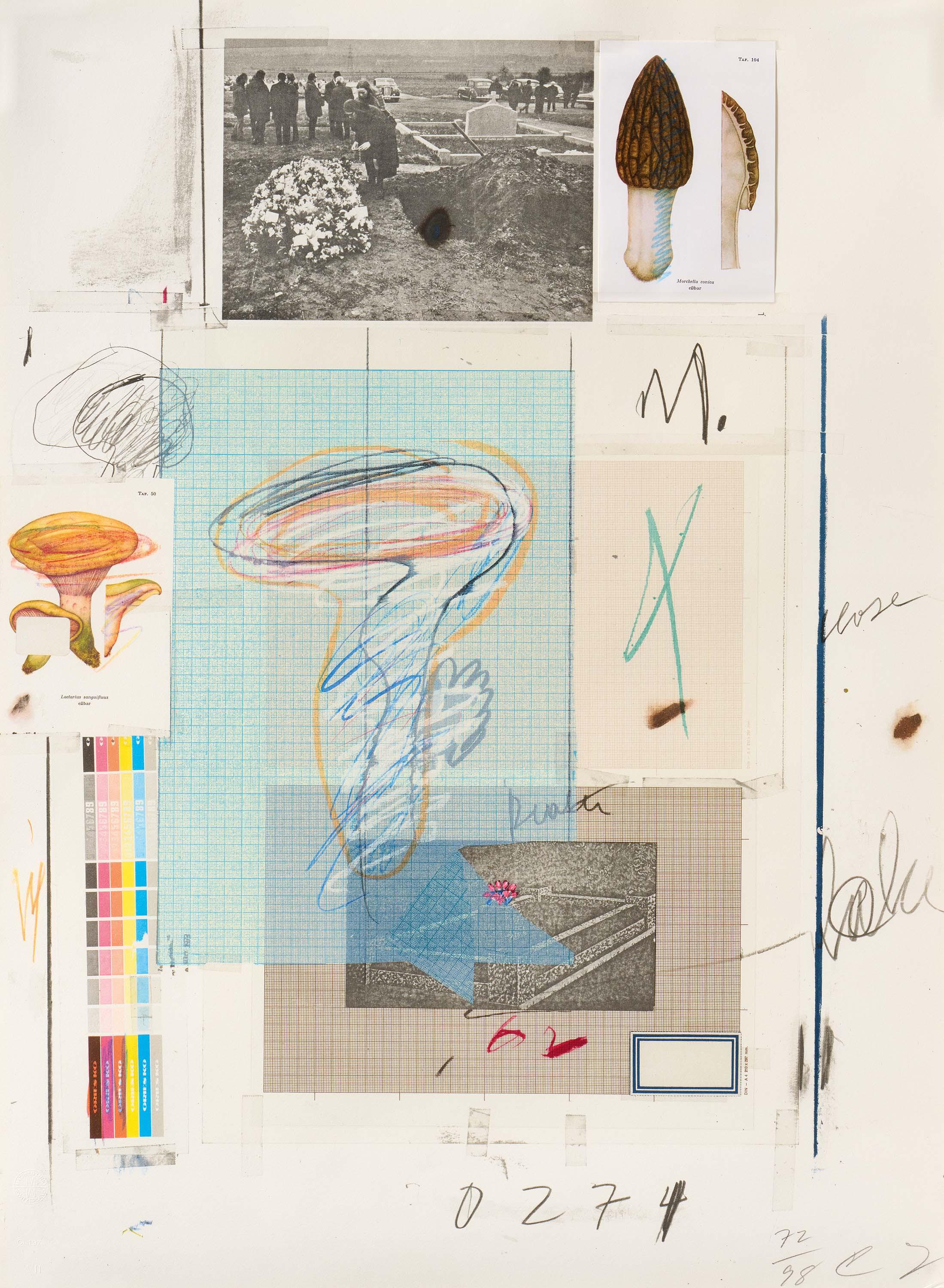 Cy Twombly - Natural History Part I, Mushrooms, No. VII.