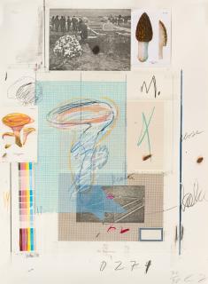 Cy Twombly - Natural History Part I, Mushrooms, No. VII.