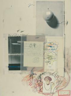 Cy Twombly - Natural History Part I, Mushrooms, No. VIII.