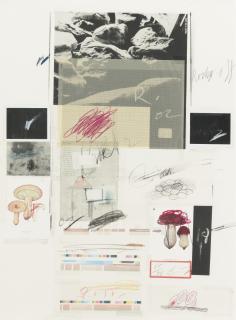 Cy Twombly - Natural History Part I, Mushrooms: No. X (B. 51)