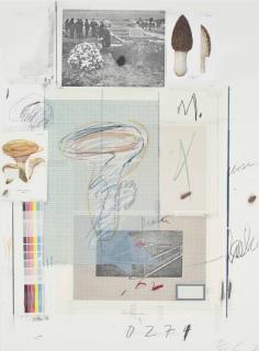 Cy Twombly - Natural History Part I Mushrooms: Plate VII