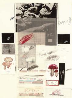 Cy Twombly - Natural History Part I Mushrooms: Plate X (B. 51)