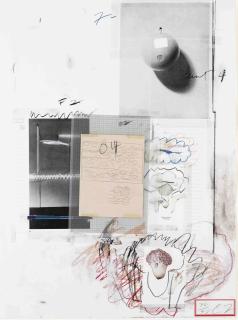 Cy Twombly - Natural History Part I No. VIII, from Natural History Part I Mushrooms (B. 49)