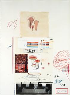 Cy Twombly - Natural History Part I