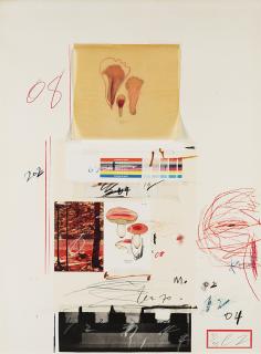 Cy Twombly - Natural History Part I