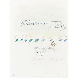 Cy Twombly - Natural History Part Ii, Some Trees Of Italy: 3 Plates (B. 53, 55 And 57)