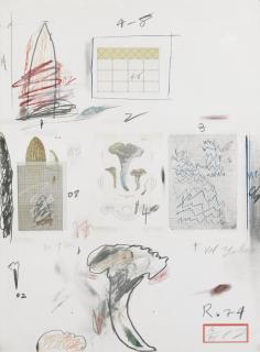 Cy Twombly - Naturali History Part I. Mushrooms