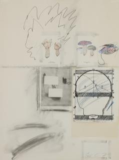 Cy Twombly - No. II, from Natural History Part I: Mushrooms