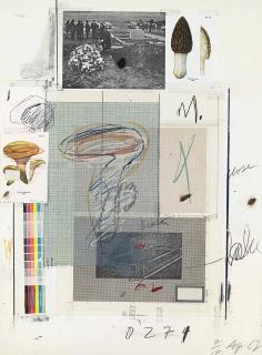 Cy Twombly - No. VII, from Natural History Part I