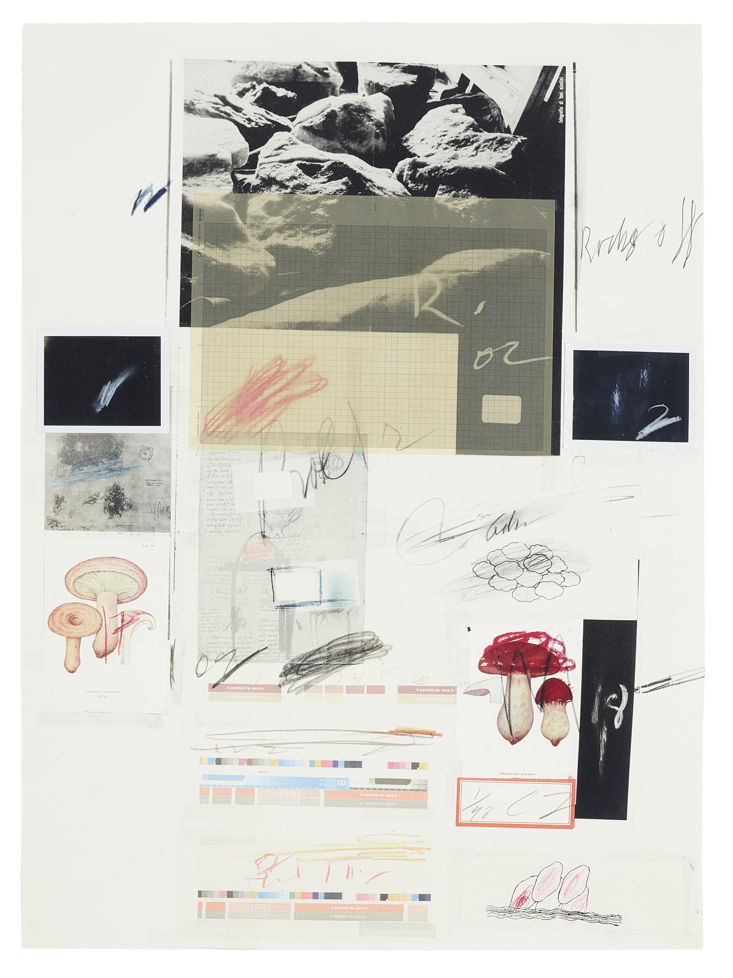 Cy Twombly - No. X, from Natural History Part I: Mushrooms