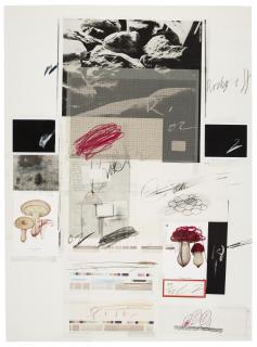 Cy Twombly - No. X, From Natural History Part I: Mushrooms
