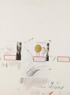 Cy Twombly - Plate I, from: Natural History Part I