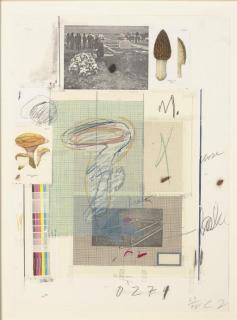 Cy Twombly - Plate VII, from Natural History Part I Mushrooms (Bastian 48)